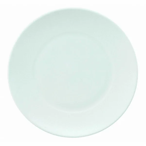 Budget 🛒 Assiette à pâtes Galuchat en Porcelaine Blanche 27 cm 🧨 1