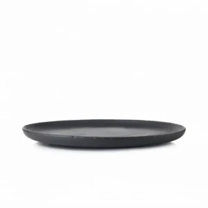 Acheter 🧨 Assiette Plate Ardoise 21 cm Basalt Revol 🛒 9