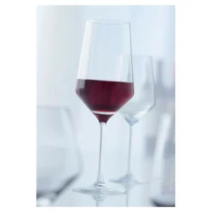 Les meilleures critiques de ❤️ Verre à vin Rouge pour Cabernet 540 ml (x2) Schott Zwiesel PURE 🔔 6