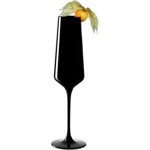 Leonardo Verre à Champagne Etna 280 Ml, 2 Pièce/s, Noir – Verres à Champagne prix pas cher 7