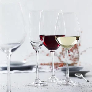 Spiegelau Verre à Vin Blanc Salute 460 Ml, 4 Pièce/s, Transparent – Verres à Vin nouvelle saison 9