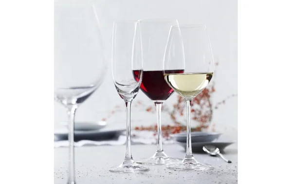 Spiegelau Verre à Vin Blanc Salute 460 Ml, 4 Pièce/s, Transparent – Verres à Vin nouvelle saison 4