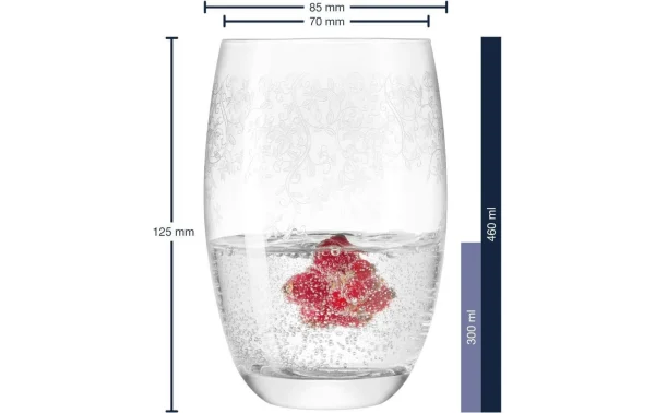 Nouvelle Collection Leonardo Verre à Long Drink Chateau 460 Ml, 6 Pièce/s, Transparent – Verres à Cocktail 4