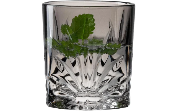 boutique pas cher Leonardo Verre à Whisky Capri 220 Ml, 4 Pièce/s, Gris – Verres à Whisky 4