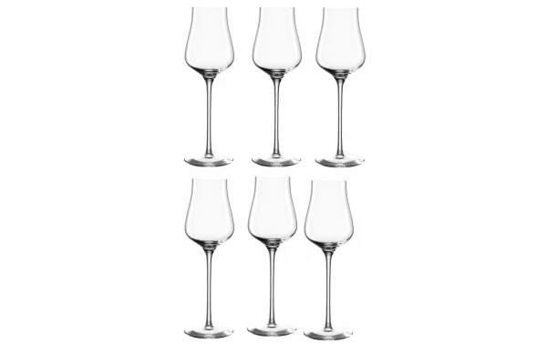 soldes magasin Leonardo Verre à Grappa Brunelli 210 Ml, 6 Pièce/s, Transparent – Verres à Schnaps Et à Liqueur 1